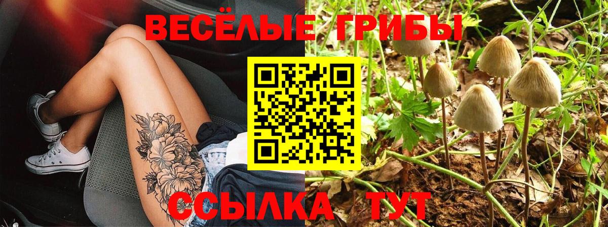 Псилоцибиновые грибы прущие грибы Курск