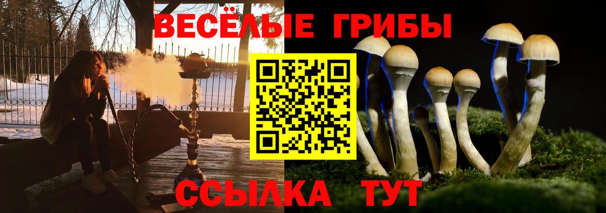 Галлюциногенные грибы прущие грибы  Вход с VPN  Курск  Псилоцибиновые грибы мицелий 