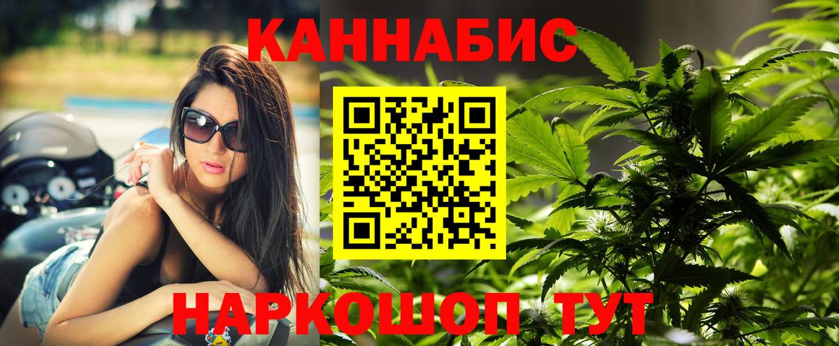 Марихуана конопля Курск